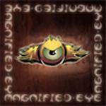 Magnified Eye : Magnified Eye